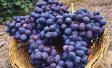blog image
